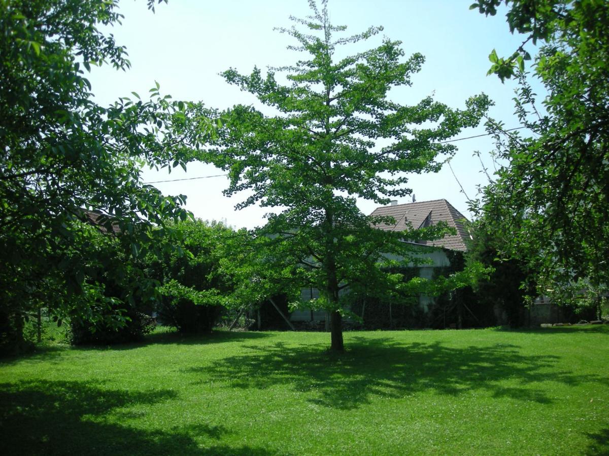 Saasenheim Chambre D'Hote Chez Lulu מראה חיצוני תמונה